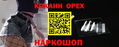 индика Будённовск