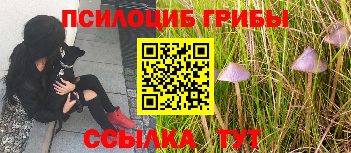 Моршанск  Псилоцибиновые грибы Psilocybine cubensis  купить закладку  Галлюциногенные грибы Psilocybine cubensis  Вход с VPN 